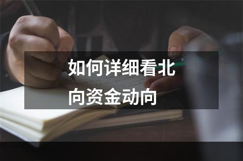 如何详细看北向资金动向