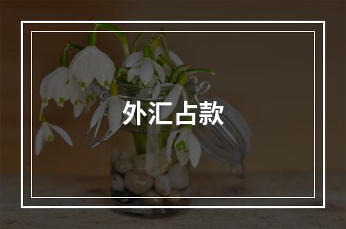 外汇占款