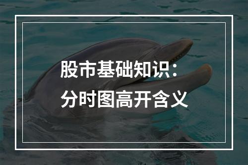 股市基础知识：分时图高开含义