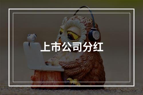 上市公司分红