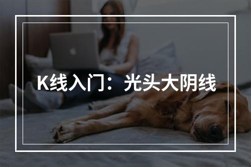 K线入门：光头大阴线