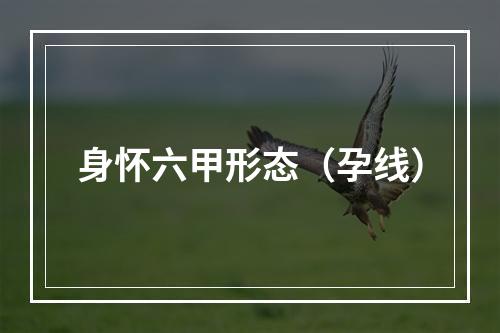 身怀六甲形态（孕线）