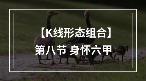 【K线形态组合】第八节 身怀六甲